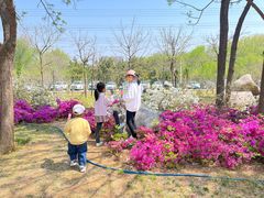 -羊亭河湿地公园