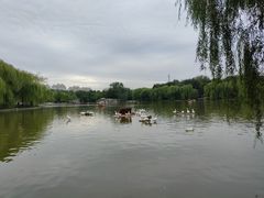 -达活泉公园