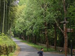 -东明山森林公园