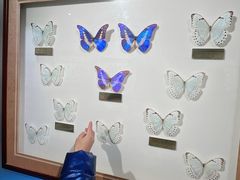 -上海昆虫博物馆