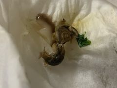 -辛香汇(大华第一坊店)