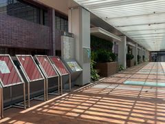 -香港大学