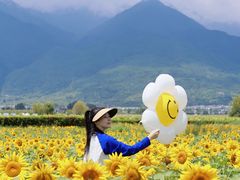 -大理洱海