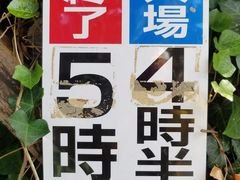 -宫城藏王狐狸村