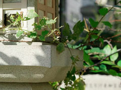 -难波八坂神社