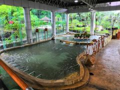 -明月山天沐温泉度假村