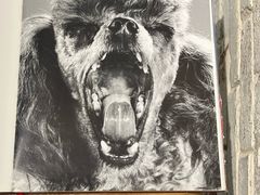 -Dal Cuore 达可芮冰淇淋(陕西北路店)