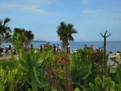 -大梅沙海滨公园
