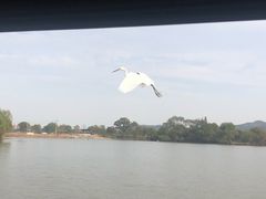 -长兴太湖图影湿地文化园