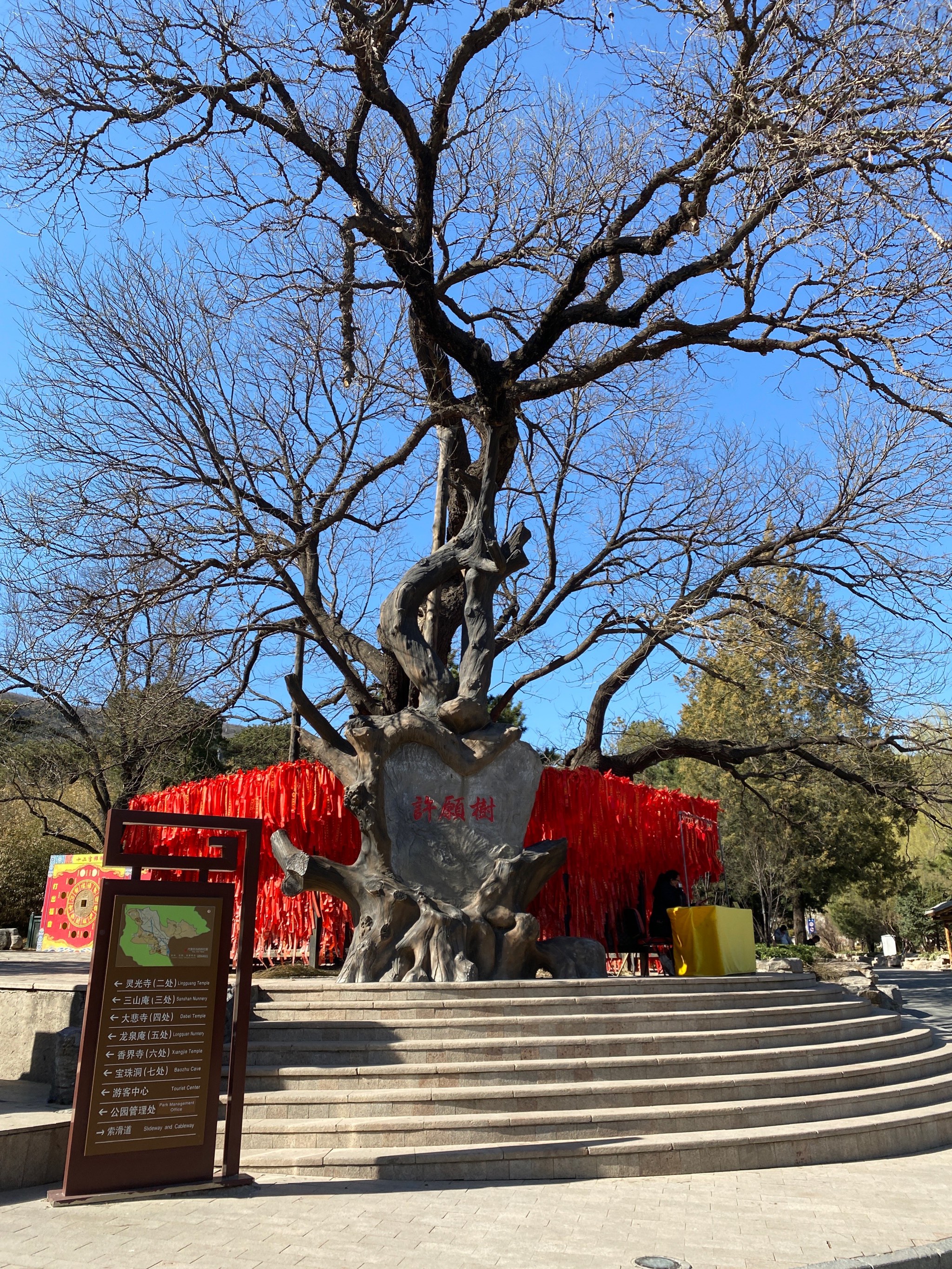 在北京 八大处公园一日游