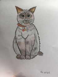 -爱尔乐美孕产瑜伽·普拉提