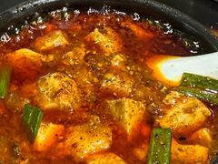 -陈麻婆豆腐总店