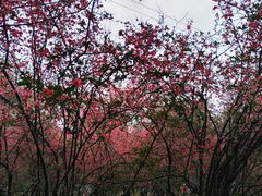 -塔子山公园