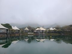 -帐篷客·溪龙茶谷度假酒店