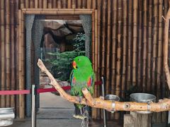 -石家庄市动物园