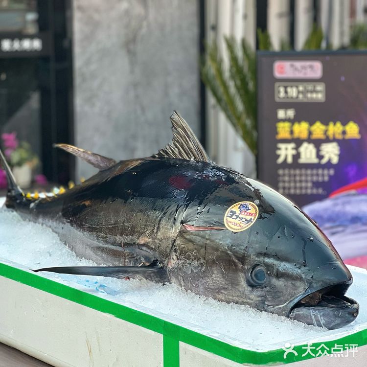 『牛料家炭火烧肉』与食客共庆一周岁,蓝鳍金枪鱼开鱼秀来助兴‼️