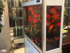 -阿英煲(凉城路店)