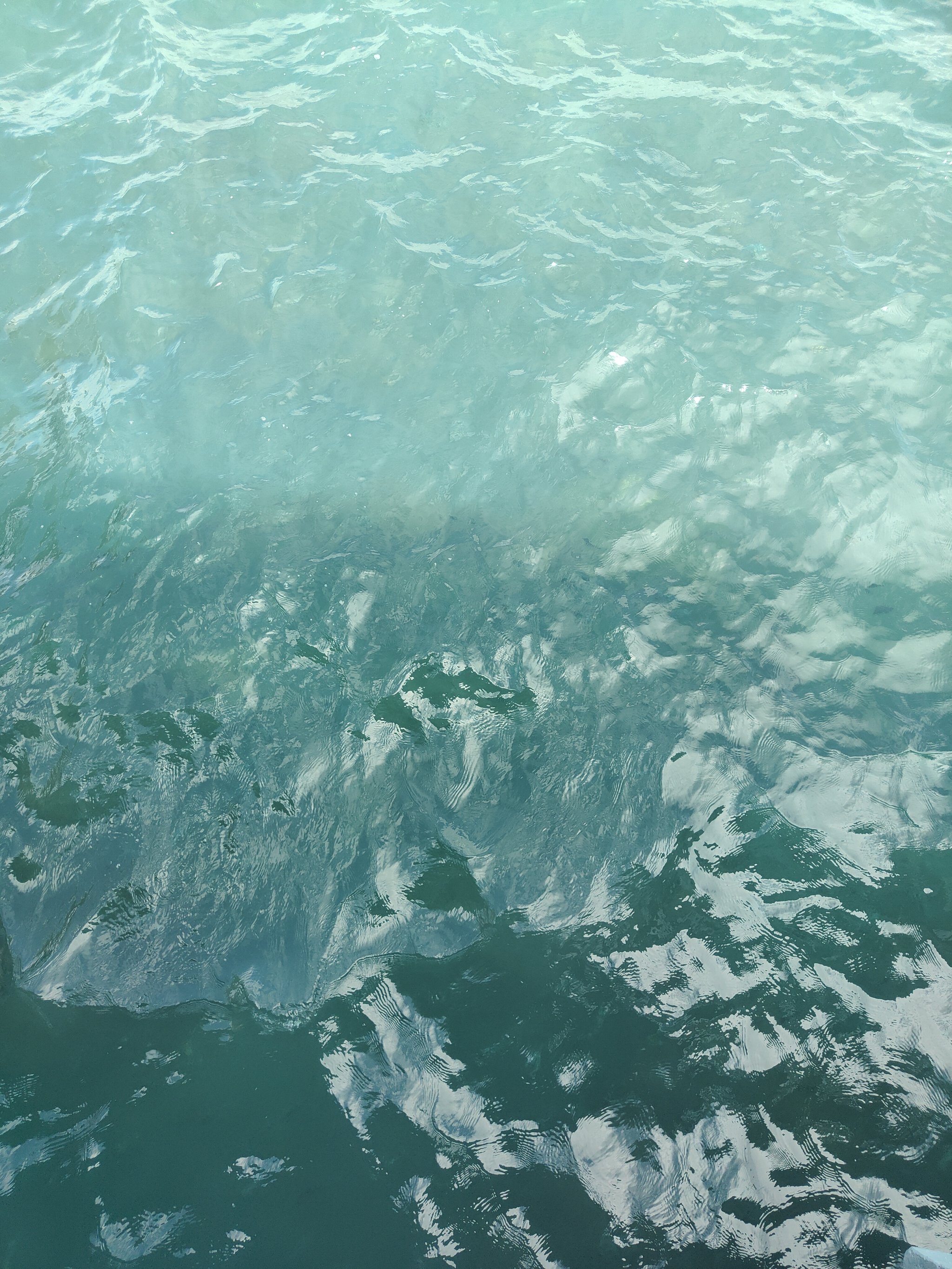 梦在水面