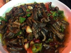-龙小海荆沙鸽子店(瑞安街店)