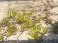 -贮水山儿童公园