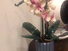 -Again Coffee Roaster(香蜜湖店)