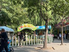 -朝阳公园游乐园