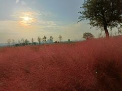 -汉长安城未央宫国家考古遗址公园