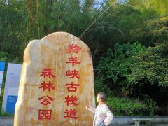 -羚羊峡古栈道森林公园