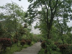-巢湖姥山岛
