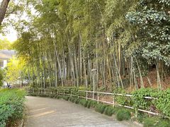 -上海市保健医疗中心