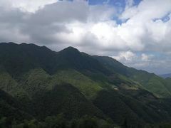 -紫鹊界梯田景区
