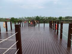 -芒洲湿地公园