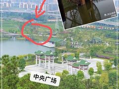 -王借岗森林公园
