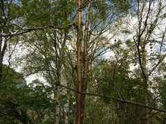 -叠溪松坪沟景区