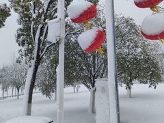 -洋湖国家湿地公园