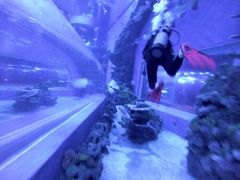 -成都浩海立方海洋公园