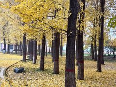 -石家庄市植物园