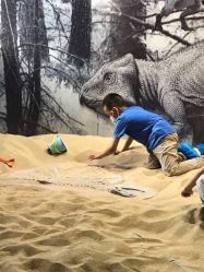 -恐龙探索乐园(磁器口店)