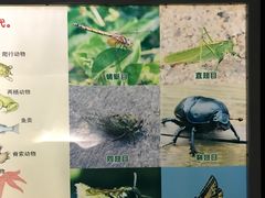 -上海昆虫博物馆