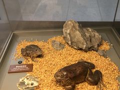 -自然博物馆新馆2楼餐厅