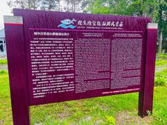 -虎头要塞
