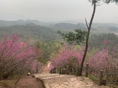 -天台山赤城山景区
