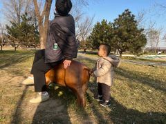 -辛庄国际文化艺术区