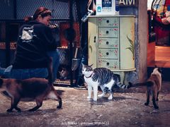 -么么咖啡(燕郊店)