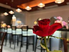 -餮熹Tipsea法餐(吉大店)