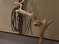 -鼎族怡华·指压·经络·疗愈SPA(紫荆店)