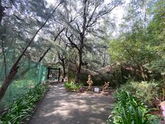 -北海金海湾红树林生态旅游区