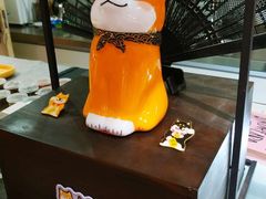 -柴务处·柴犬主题狗咖