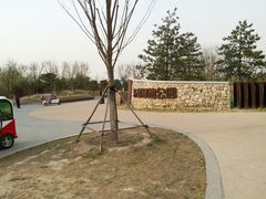 -东郊湿地公园