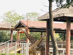 -石家庄市动物园